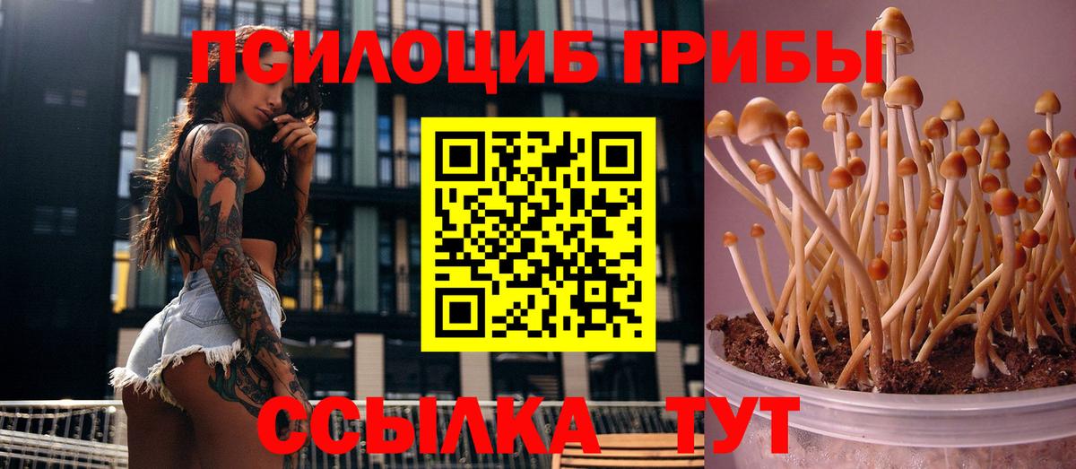 Ленинск-Кузнецкий  Галлюциногенные грибы GOLDEN TEACHER  Вход с VPN 